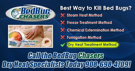 Bed Bug pictures Colonia NJ, Bed Bug treatment Colonia NJ, Bed Bug heat Colonia NJ
