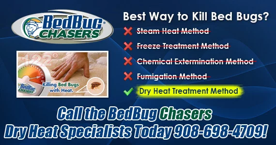 Bed Bug pictures Somerset NJ, Bed Bug treatment Somerset NJ, Bed Bug heat Somerset NJ