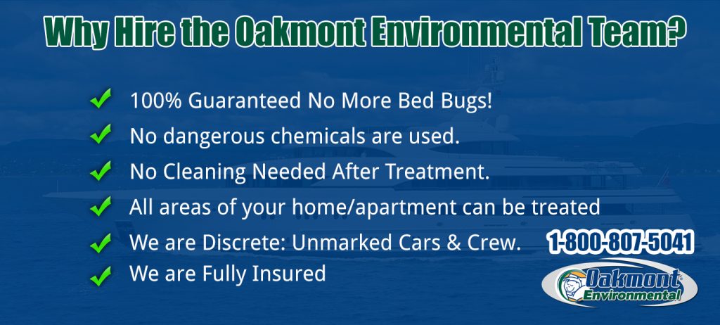 Bed Bug pictures Morris County NJ, Bed Bug treatment Morris County NJ, Bed Bug heat Morris County NJ, Get Rid of Bed Bugs Morris County NJ