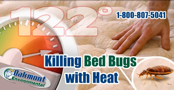 Bed Bug Control NJ, Bed Bug Control, How to Get Rid of Bed Bugs NJ