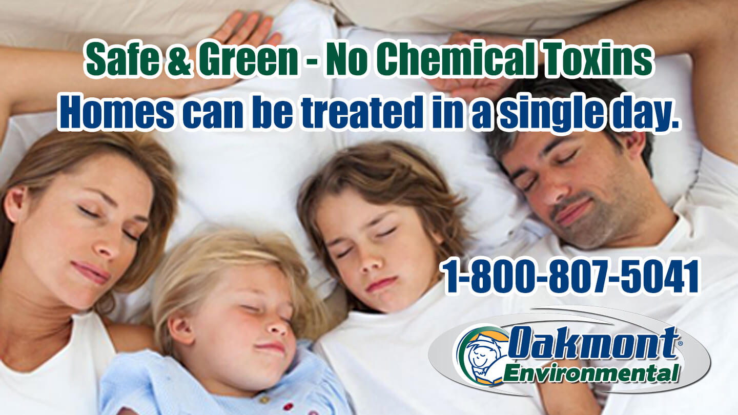 Get Rid of Bed Bugs & Eggs! Safe, Non-Toxic Bed Bug Treatment NJ - Bed Bug Control Without Using Chemicals