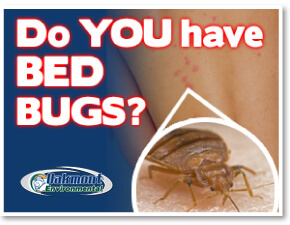 Bed Bug heat treatment Delaware NJ, Bed Bug images Delaware NJ, Bed Bug exterminator Delaware NJ, Chemical Free Bed Bug Treatment Delaware NJ