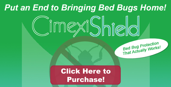Bed Bug heat treatment Greendell NJ, Bed Bug images Greendell NJ, Bed Bug exterminator Greendell NJ, Chemical Free Bed Bug Treatment Greendell NJ